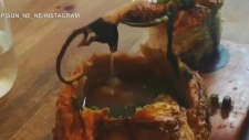 Rat found in chowder at B.C. restaurant