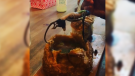 Social media video allegedly shows a rat being lifted out of bread bowl on a spoon at Crab Park Chowdery. (Instagram) 